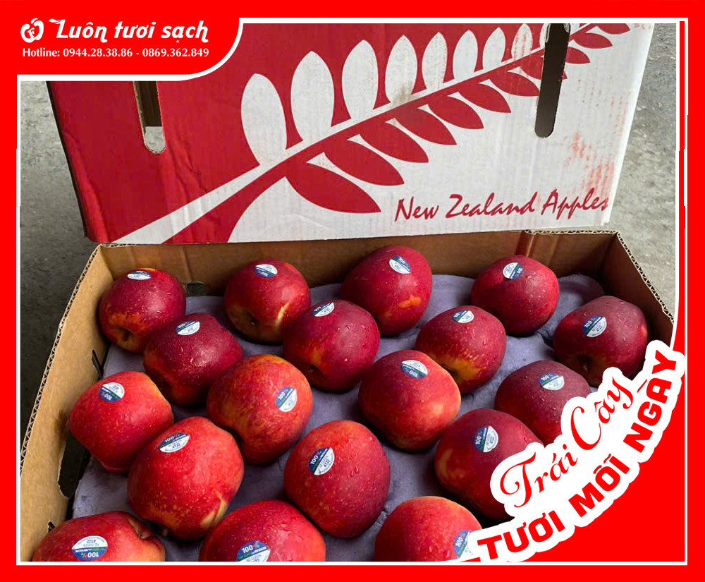 Nguyên Thùng táo Queen NZ 17kg